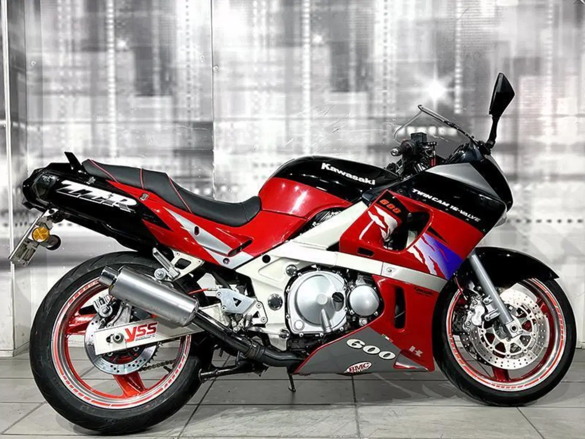 Kawasaki ZZR 600 (1990 - 00) (8)