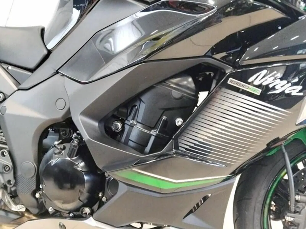 Kawasaki Ninja 1000 SX (2021 - 24) (7)