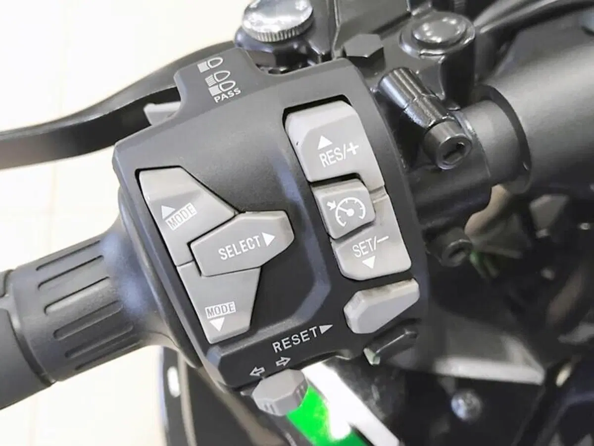 Kawasaki Ninja 1000 SX (2021 - 24) (8)