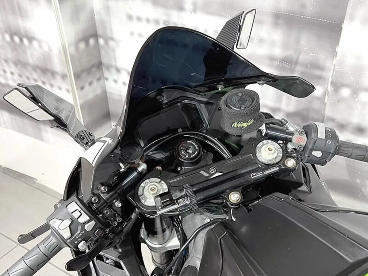 Kawasaki Ninja 1000 ZX-10R (2021 - 25) (6)