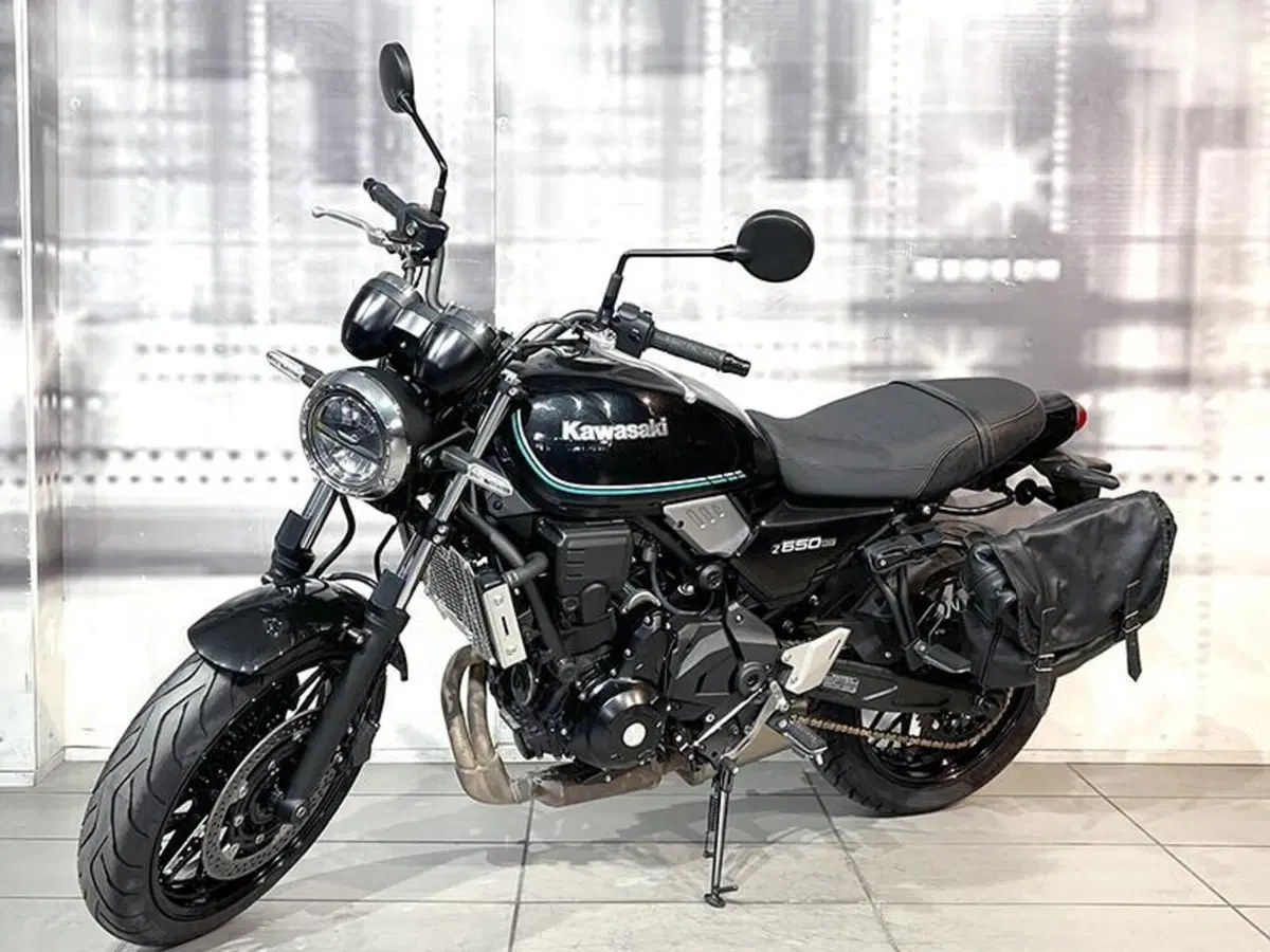 Kawasaki Z 650 RS (2022 - 24) (6)