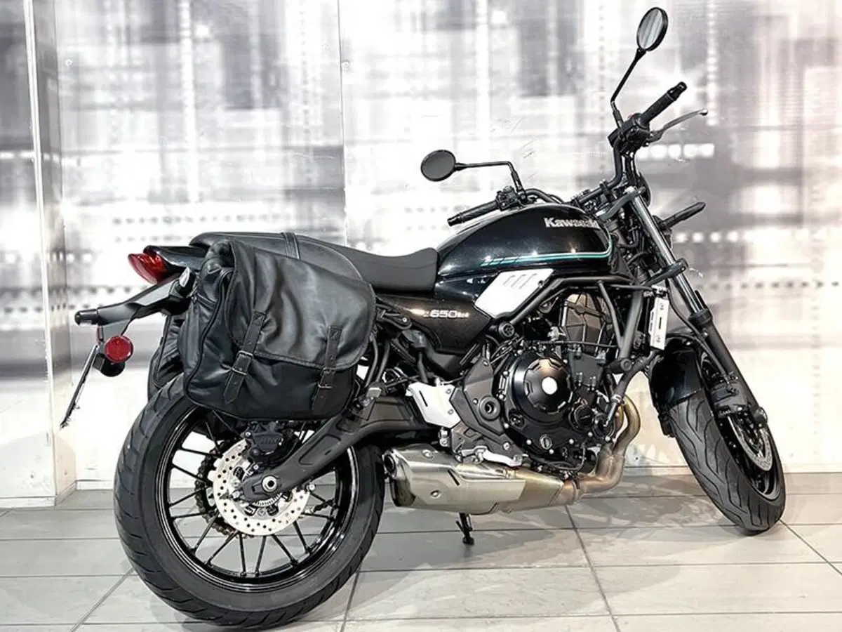 Kawasaki Z 650 RS (2022 - 24) (7)