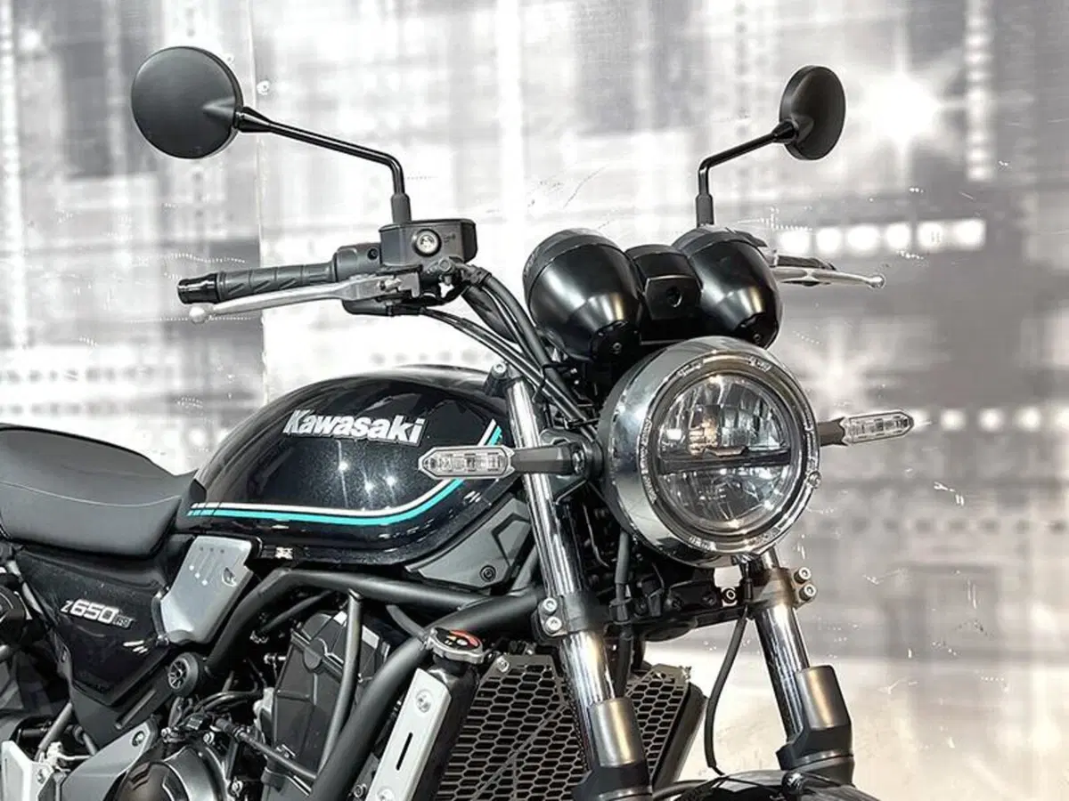 Kawasaki Z 650 RS (2022 - 24) (8)