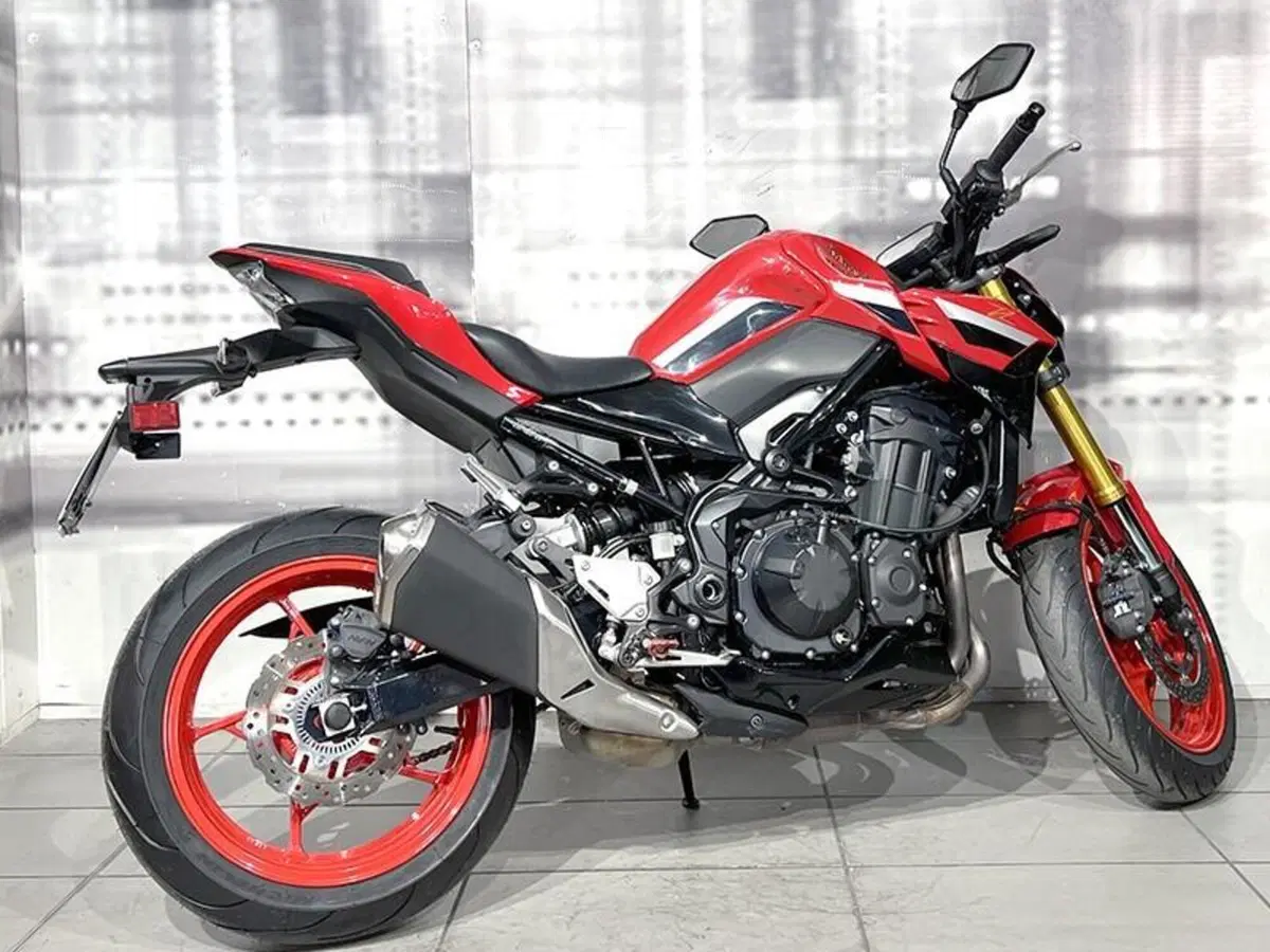 Kawasaki Z 900 50th Anniversary (2022 - 23) (8)