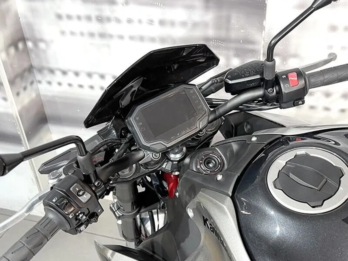 Kawasaki Z 900 A2 (2021 - 24) (6)