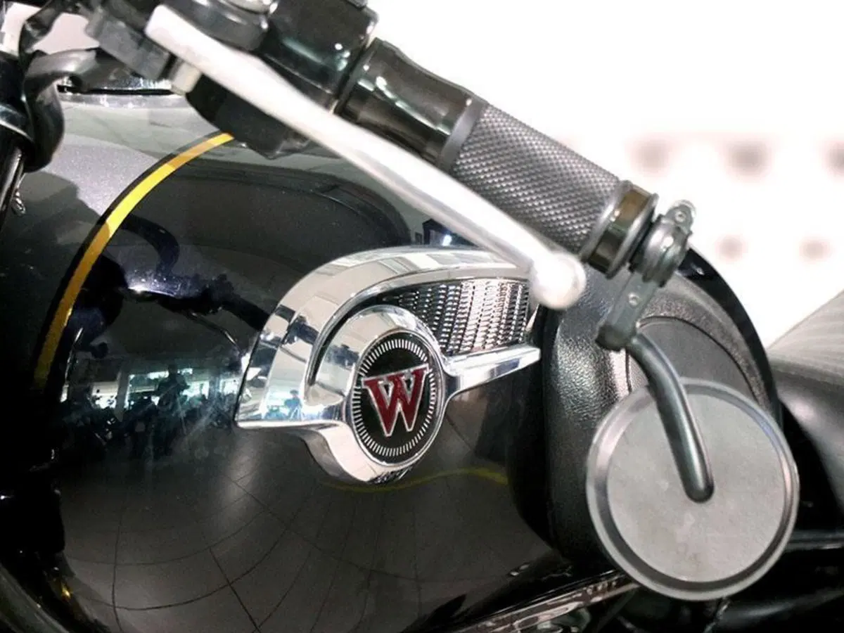 Kawasaki W 800 (2010 - 17) (8)
