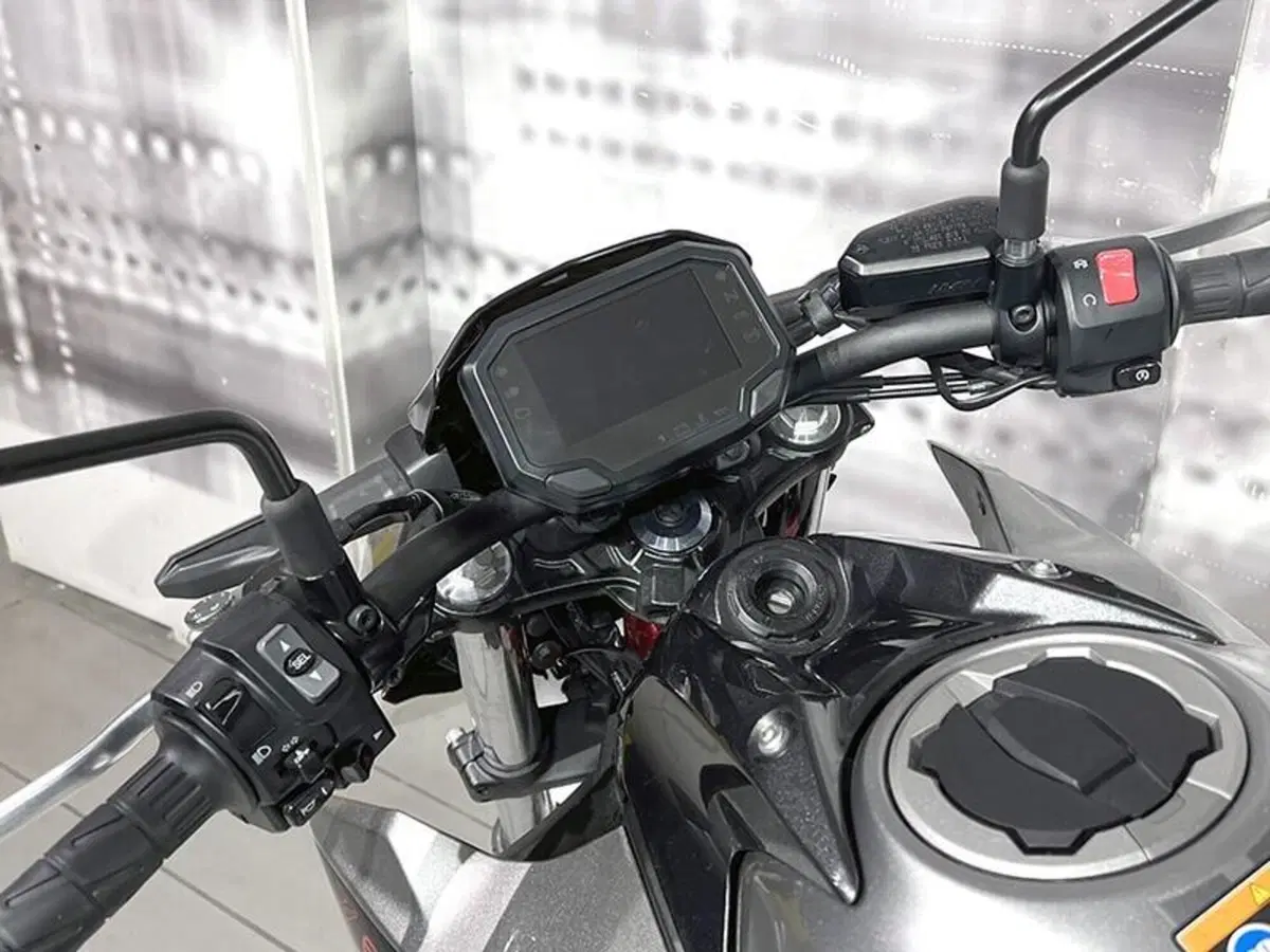 Kawasaki Z 650 (2021 - 24) (6)