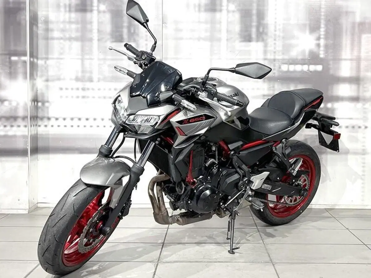 Kawasaki Z 650 (2021 - 24) (7)