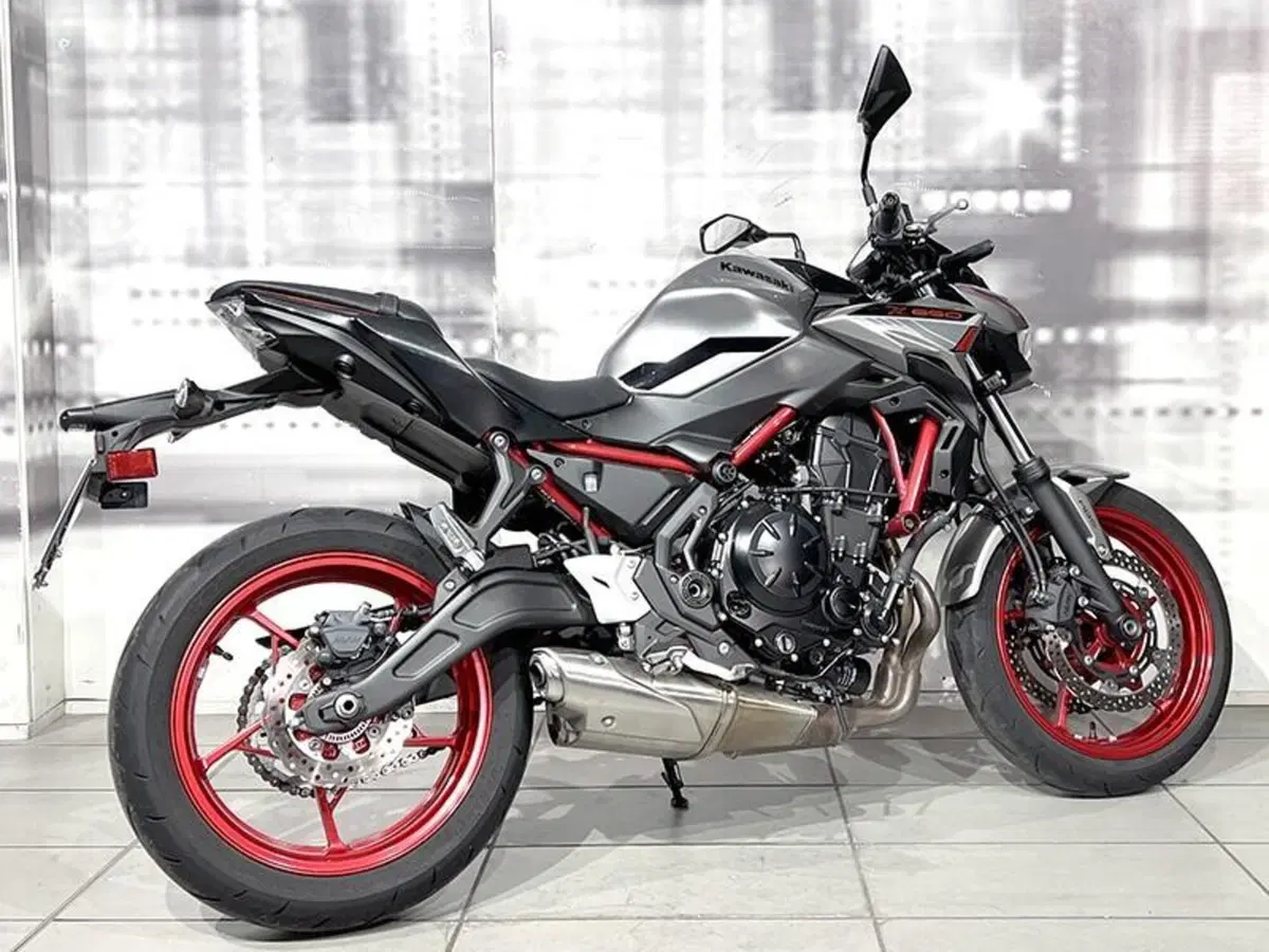 Kawasaki Z 650 (2021 - 24) (8)