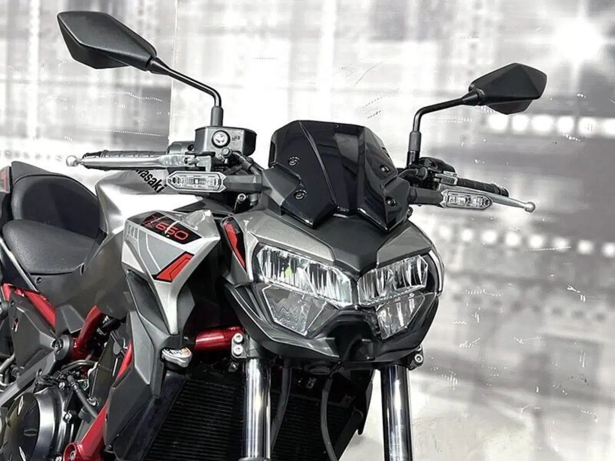 Kawasaki Z 650 (2021 - 24) (9)