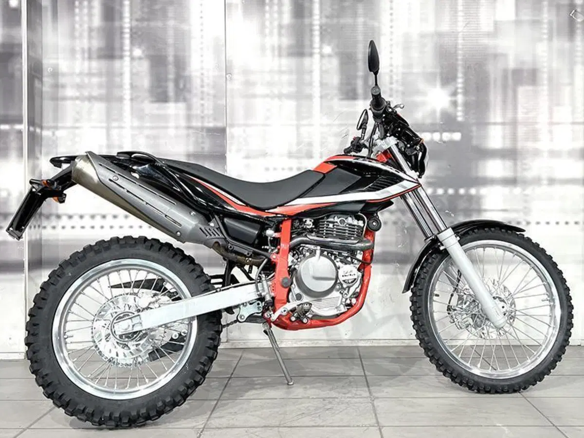 Betamotor Alp 4.0 (2018 - 20) (8)