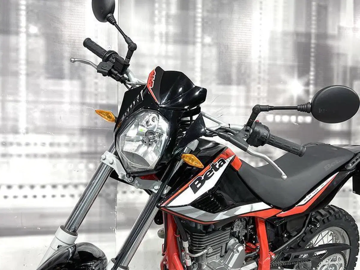 Betamotor Alp 4.0 (2018 - 20) (9)