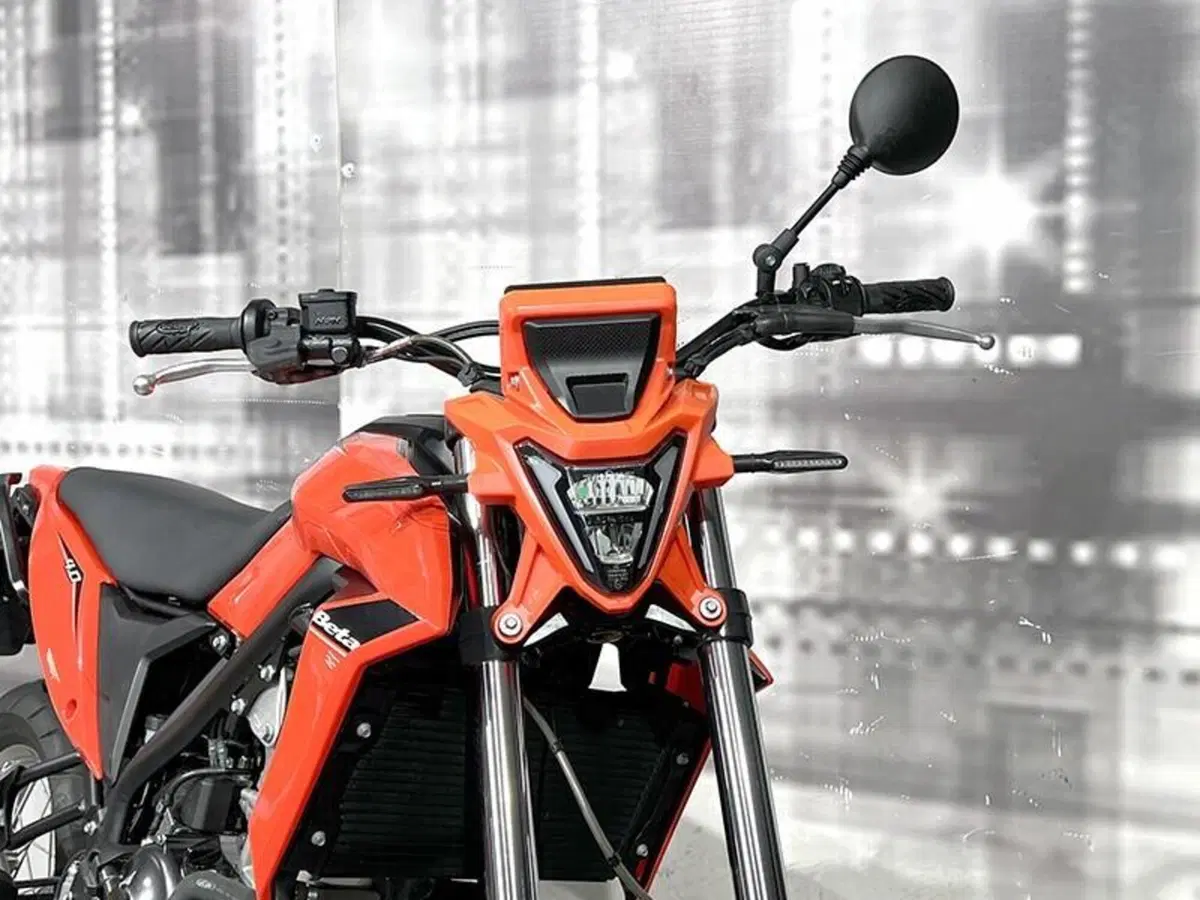 Betamotor Alp 4.0 (2024 - 26) (8)