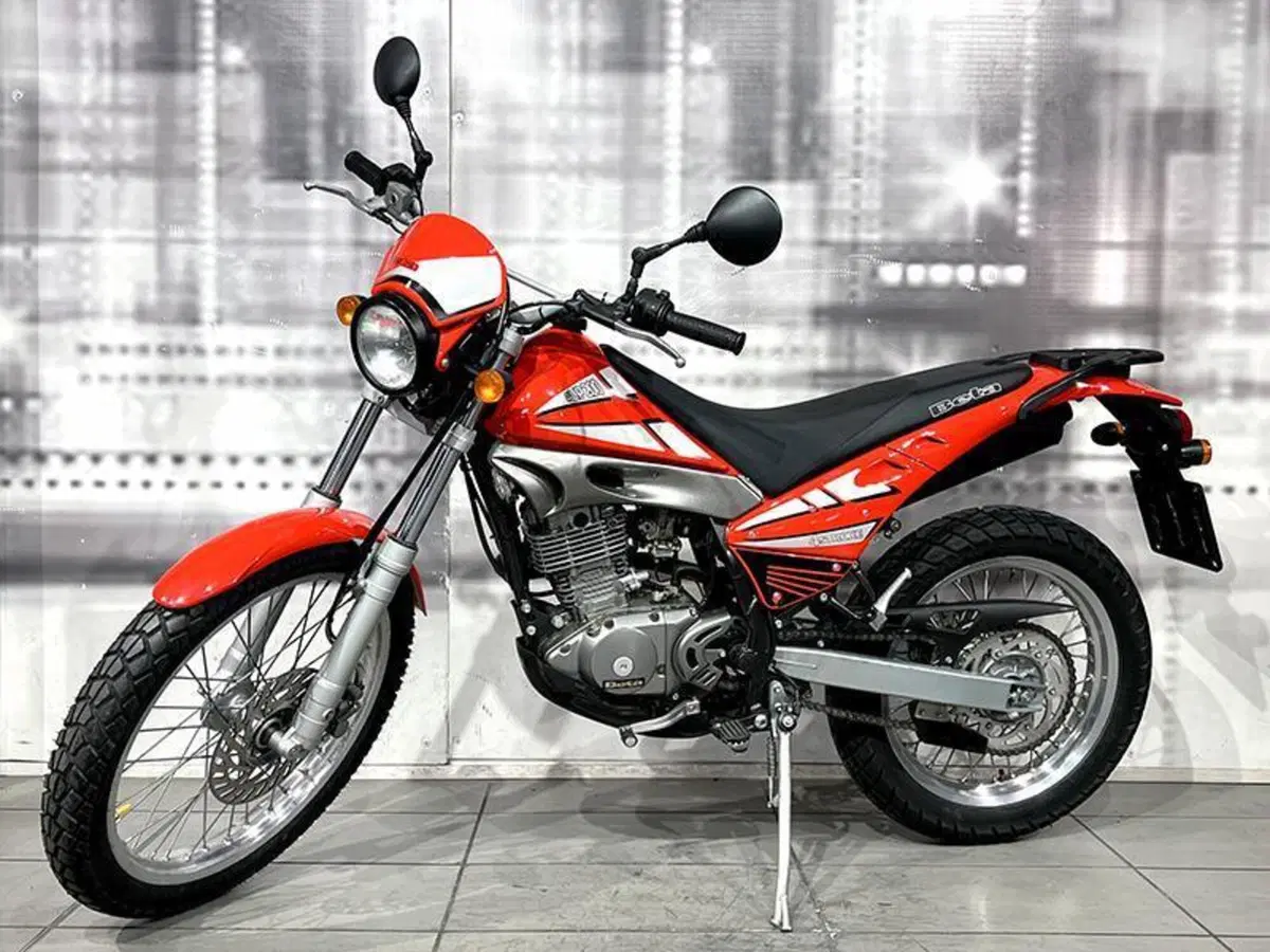 Betamotor Alp 125 (2006) (6)