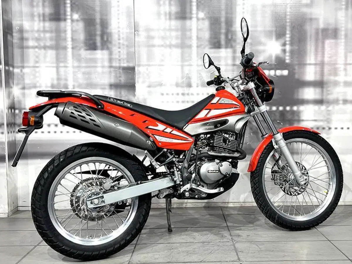 Betamotor Alp 125 (2006) (7)