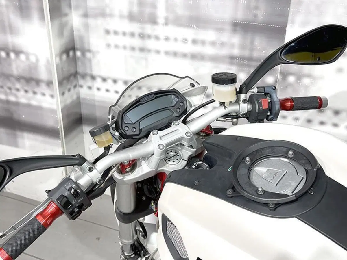 Ducati Monster 1100 (2009 -10) (6)
