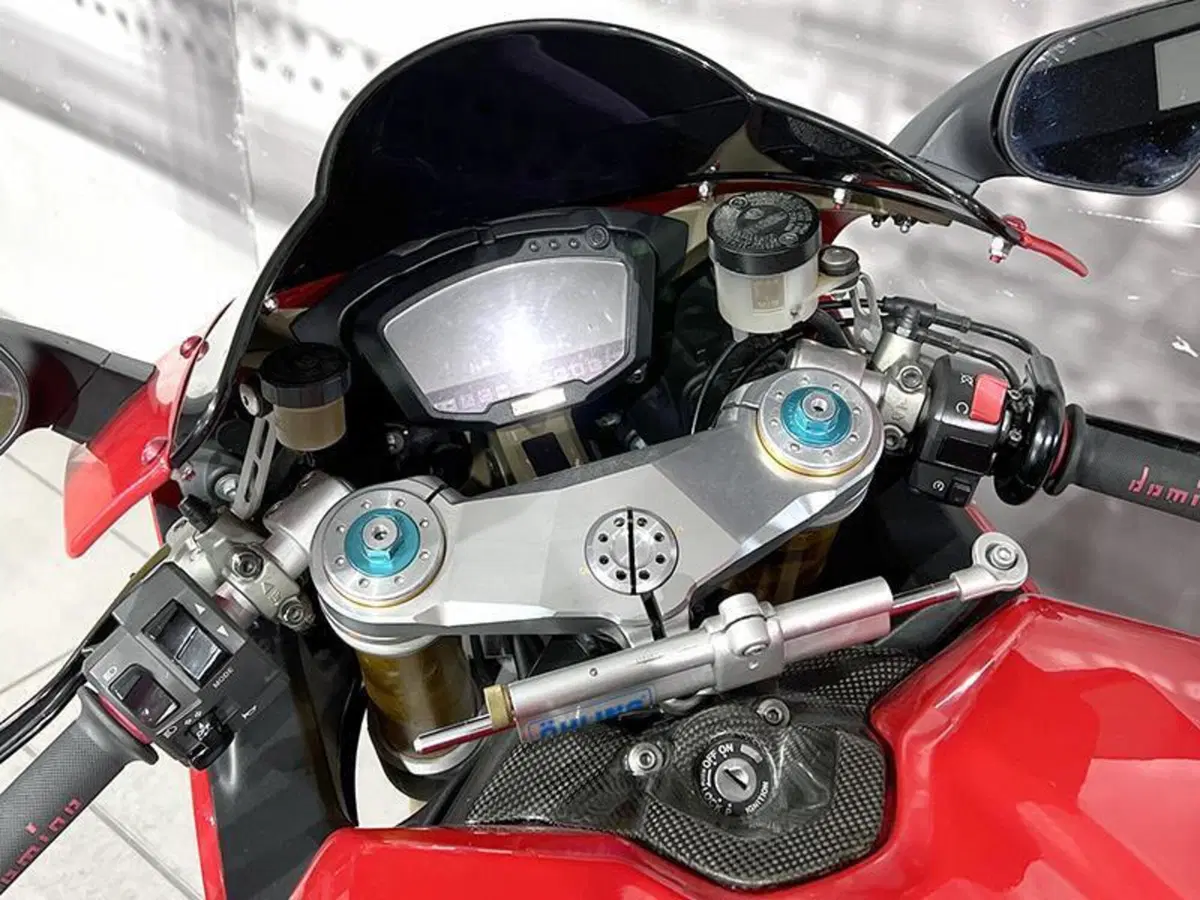 Ducati 1198 (2009 - 12) (6)