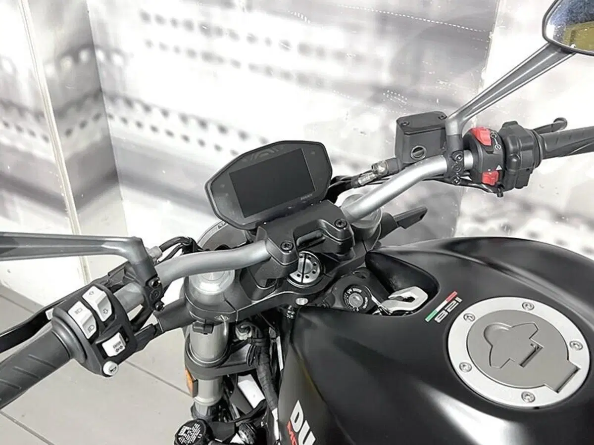 Ducati Monster 821 (2018 - 20) (6)