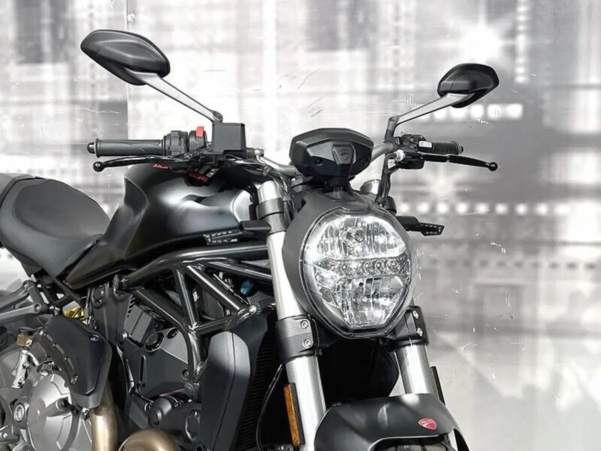 Ducati Monster 821 (2018 - 20) (9)