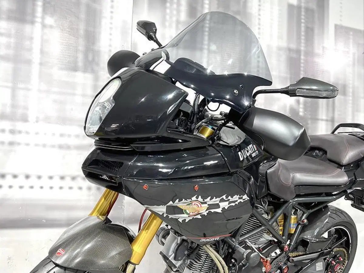 Ducati Multistrada 1000 DS (2003 - 06) (8)