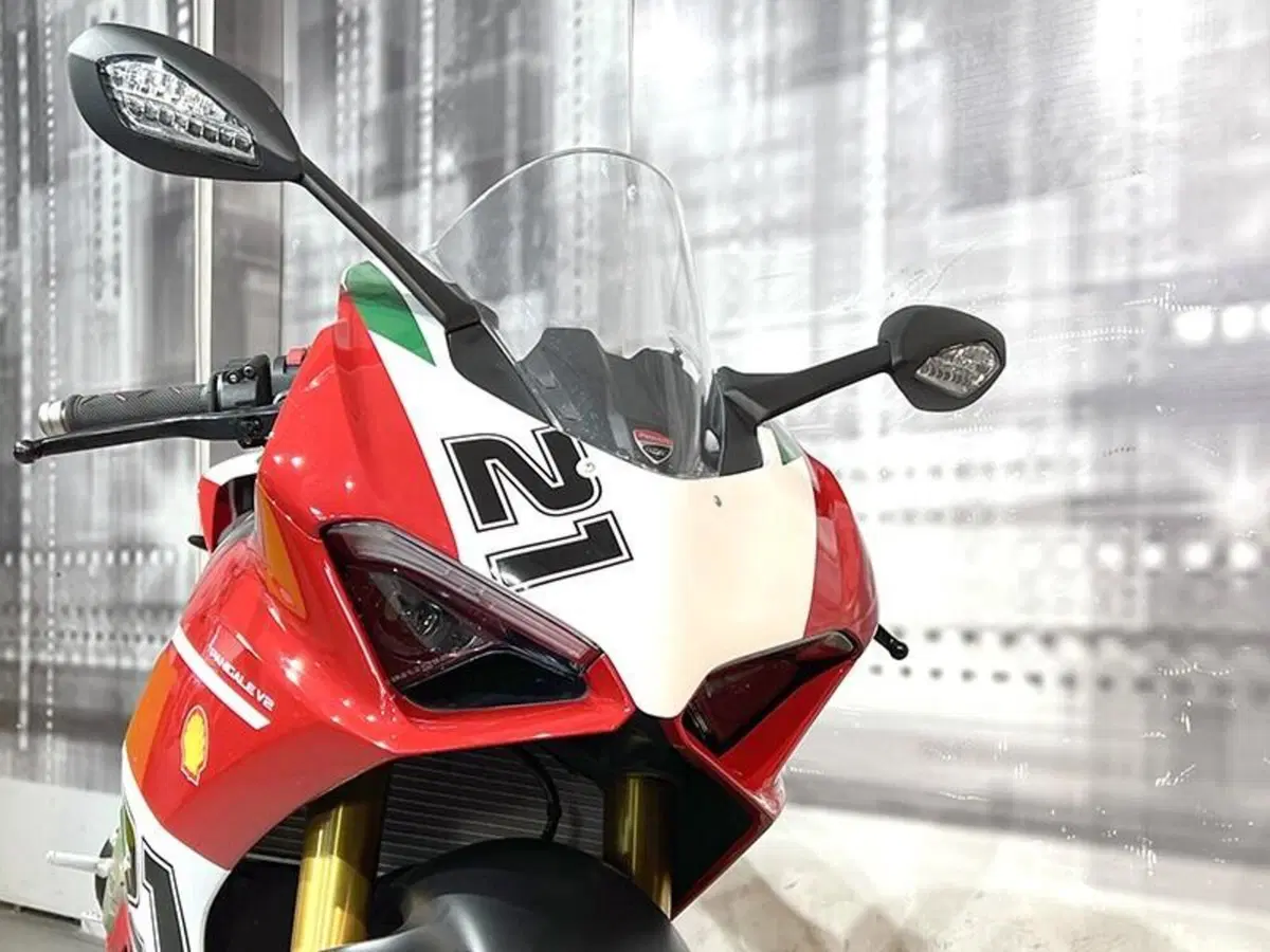 Ducati Panigale V2 (2021 - 24) (9)