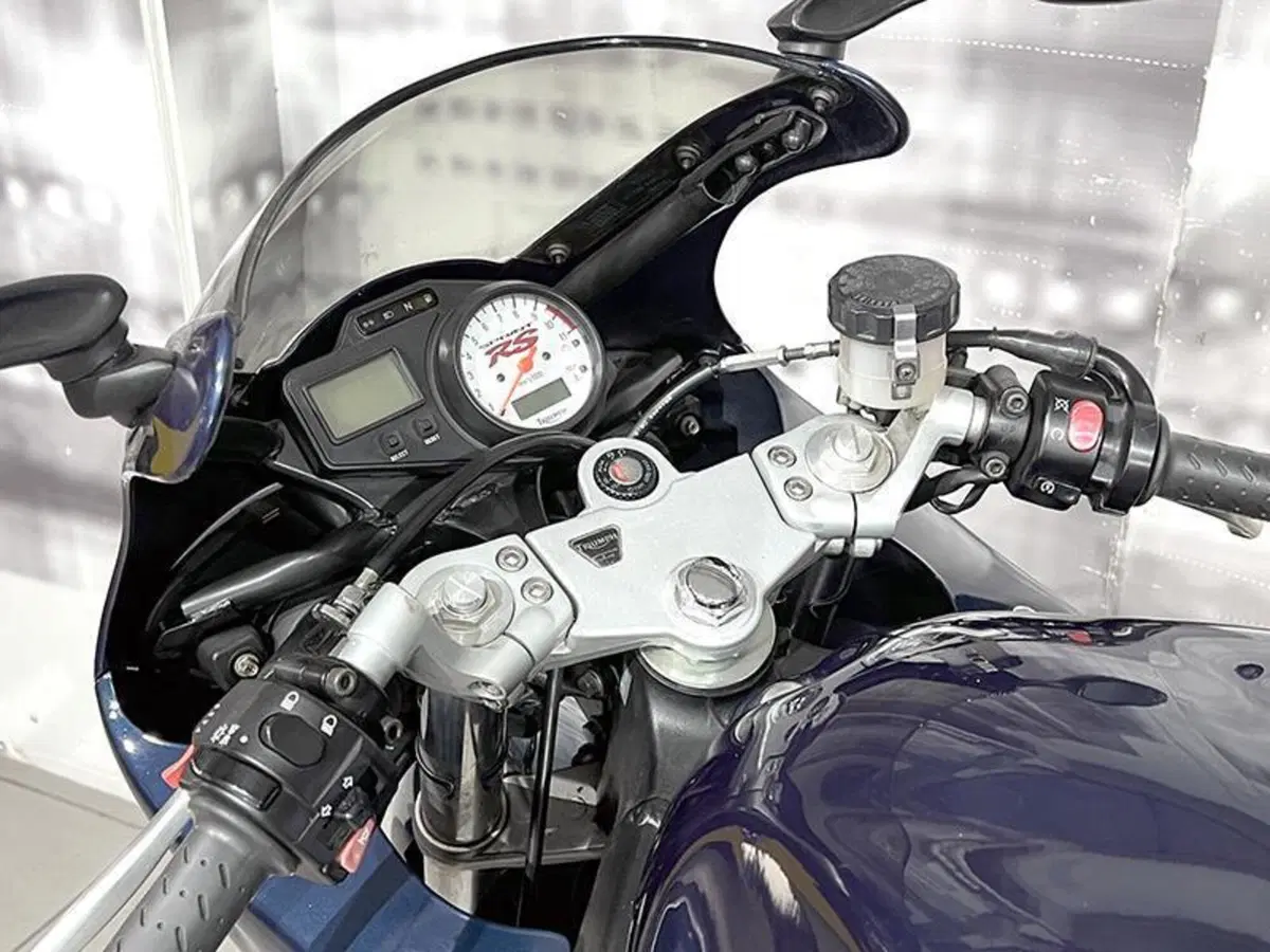 Triumph Sprint 955 RS (1999 - 01) (6)