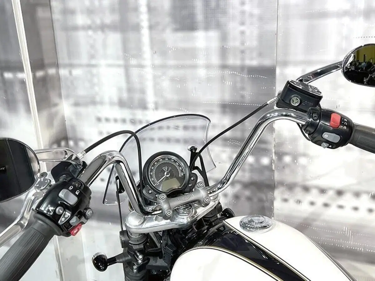 Triumph Bonneville Speedmaster 1200 (2018 - 20) (6)