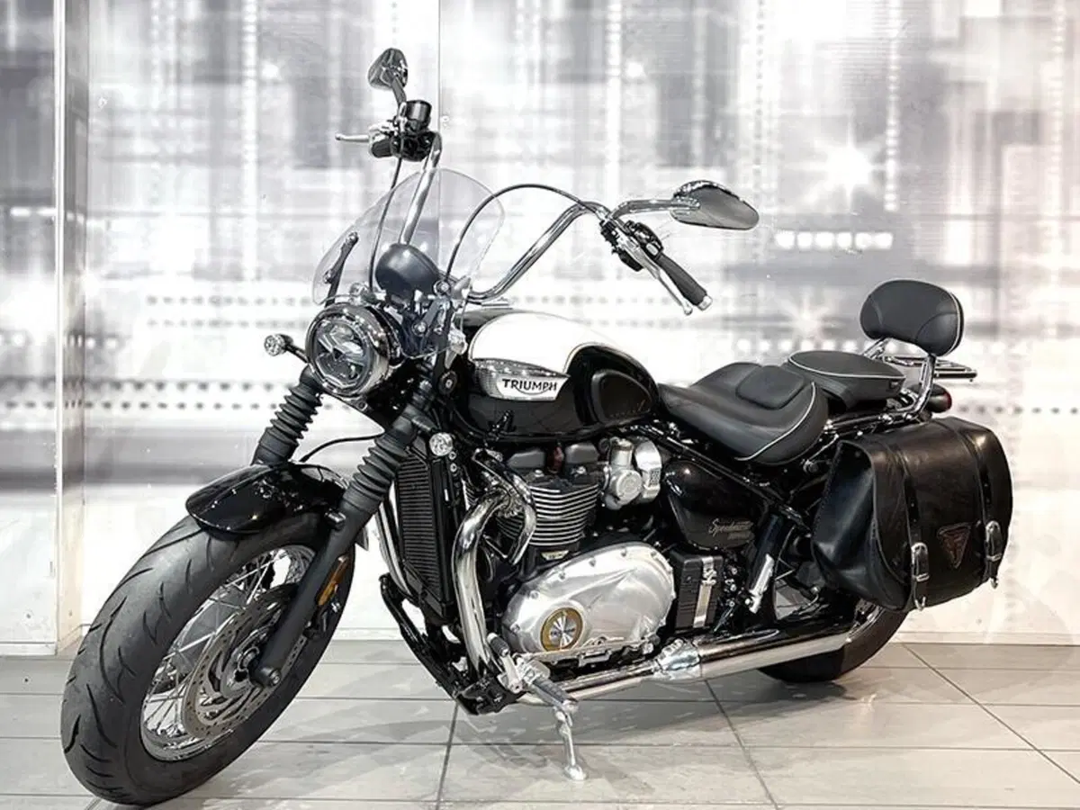 Triumph Bonneville Speedmaster 1200 (2018 - 20) (7)
