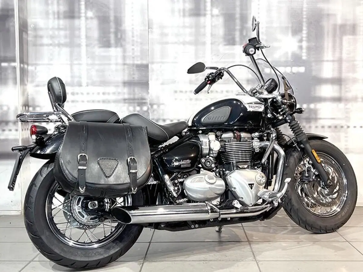 Triumph Bonneville Speedmaster 1200 (2018 - 20) (8)