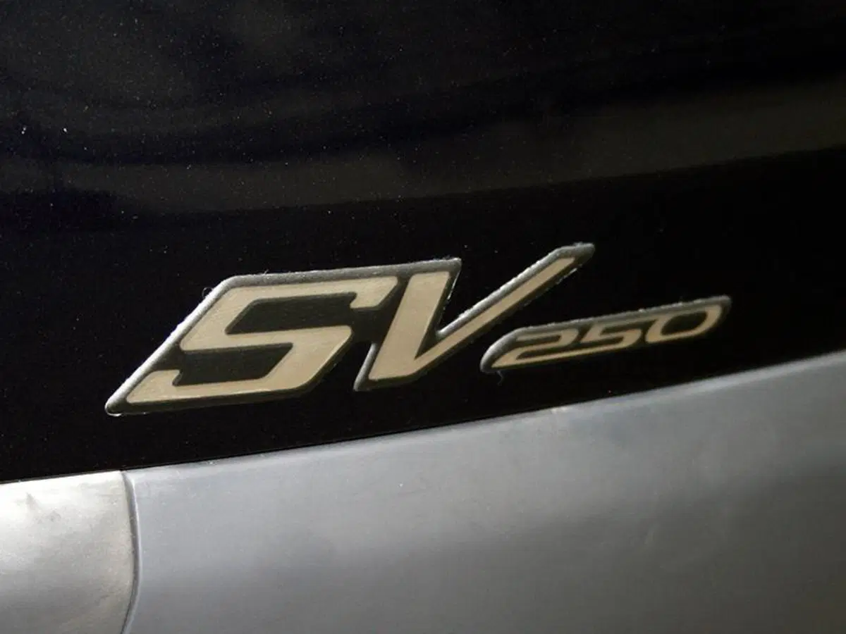 Peugeot SV 250 (2002 - 04) (8)