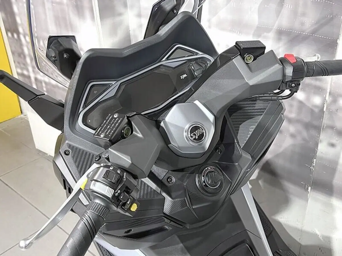 Sym Cruisym 300 (2021 - 24) (6)