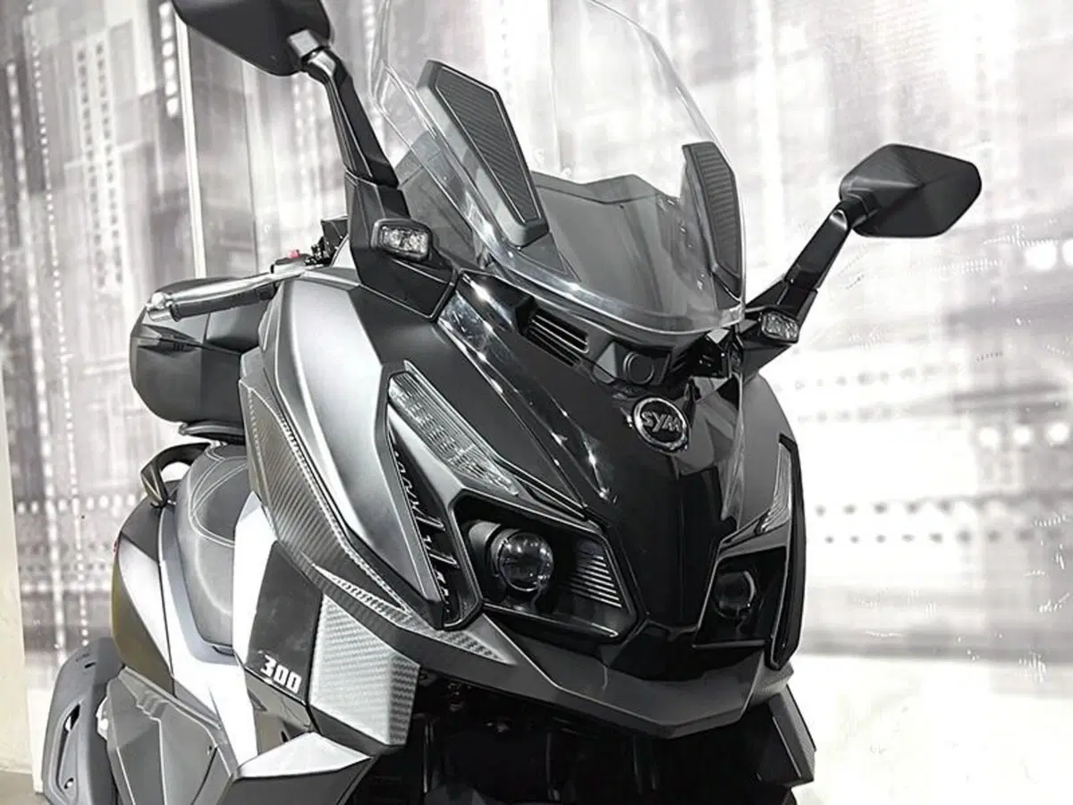 Sym Cruisym 300 (2021 - 24) (9)