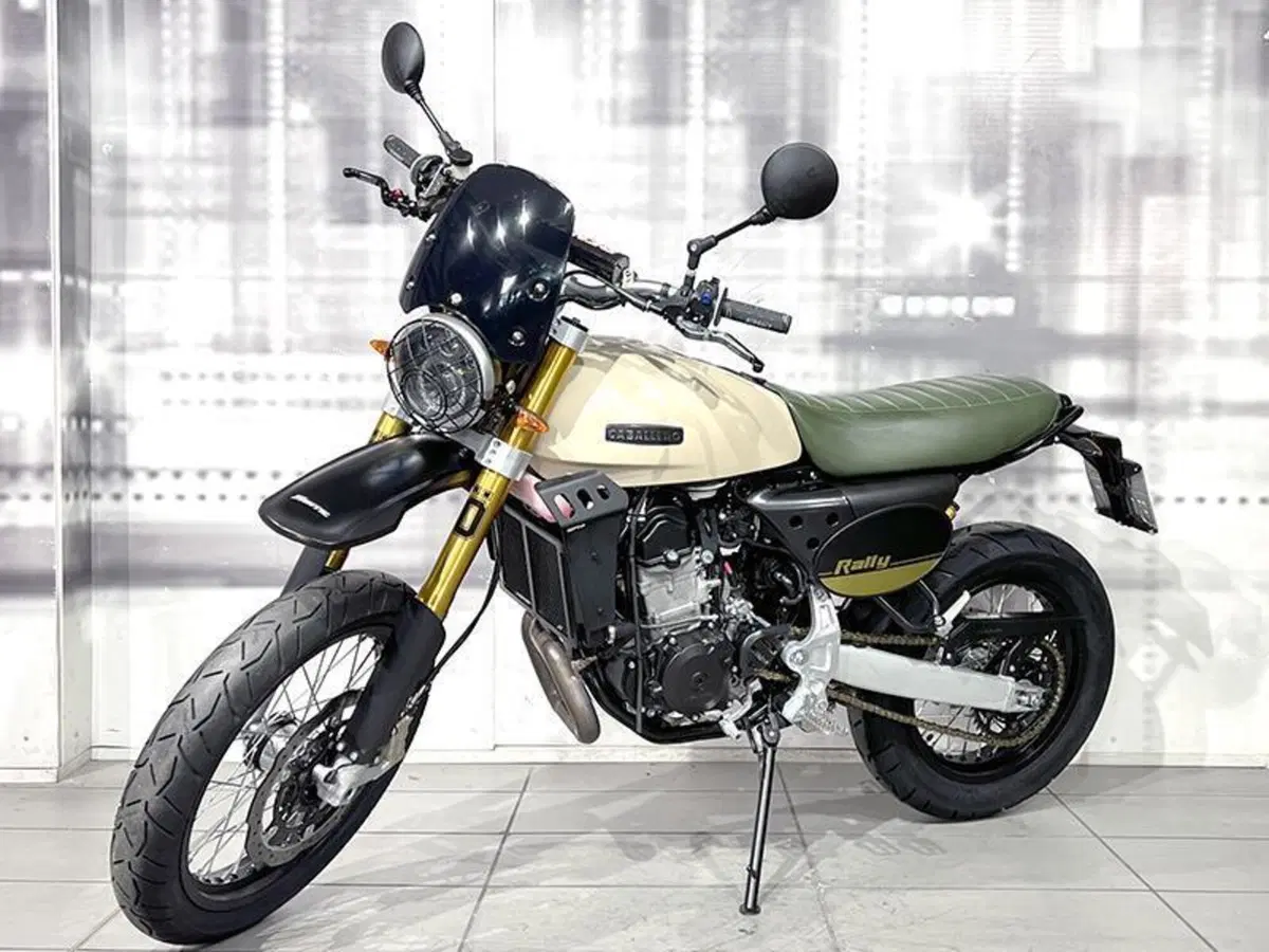 Fantic Motor Caballero 500 Rally (2021 - 23) (7)