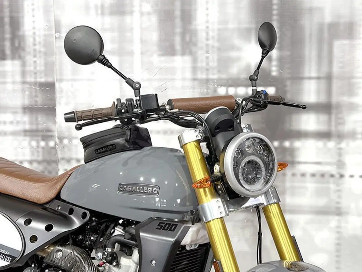Fantic Motor Caballero 500 Rally (2021 - 23) (9)
