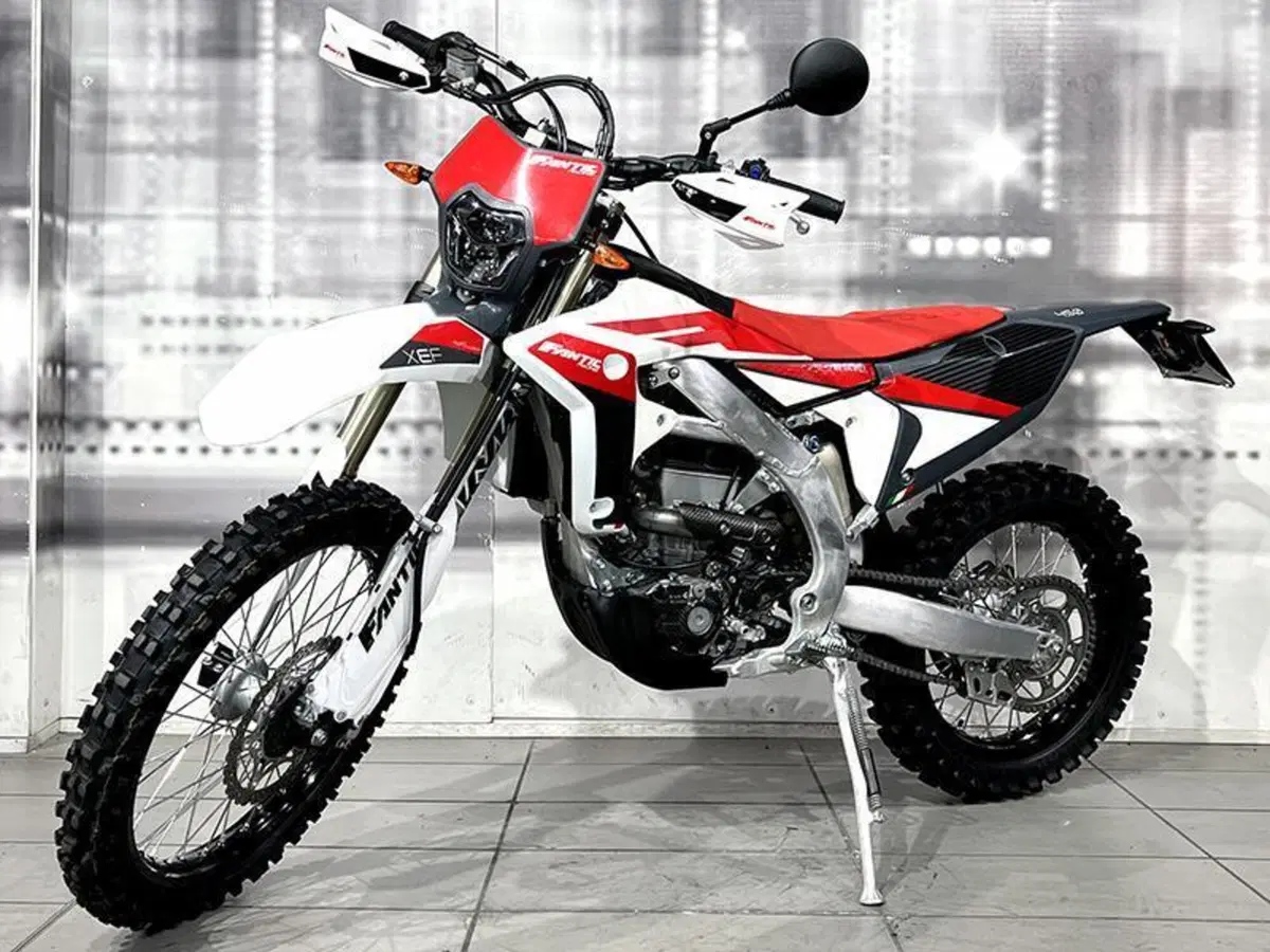 Fantic Motor XEF 450 (2023) (7)