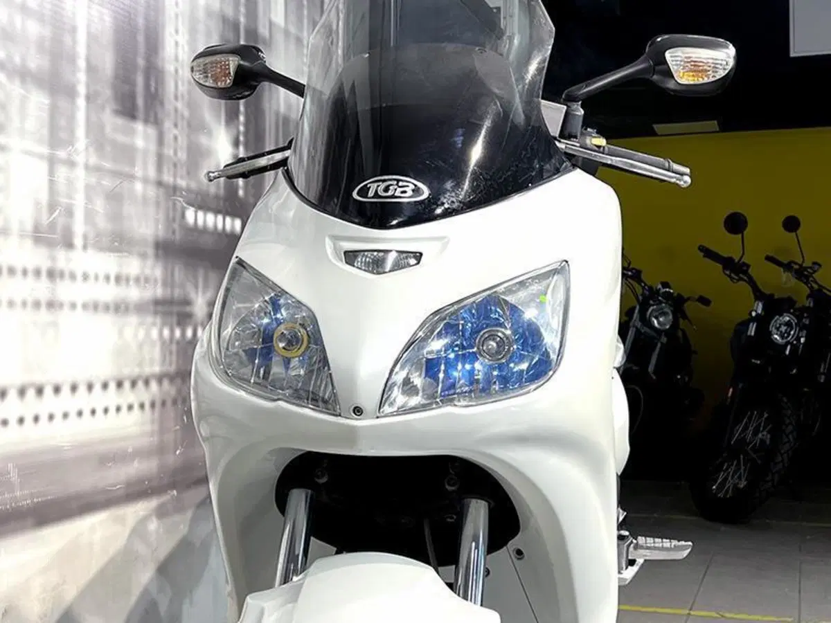 Tgb X Motion 250 (2008 - 13) (9)