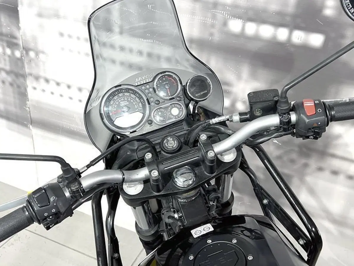 Royal Enfield Himalayan 411 (2021 - 24) (6)