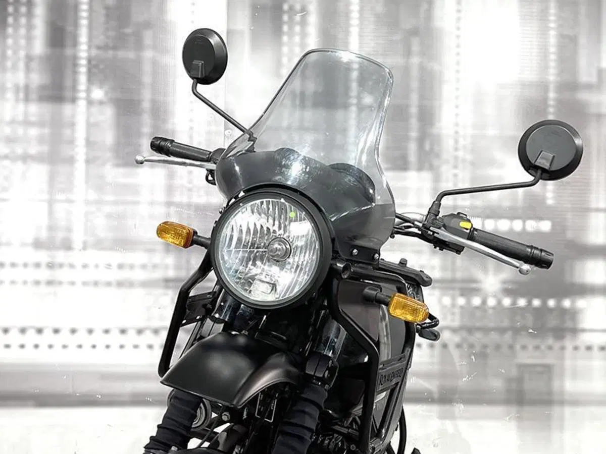 Royal Enfield Himalayan 411 (2021 - 24) (9)