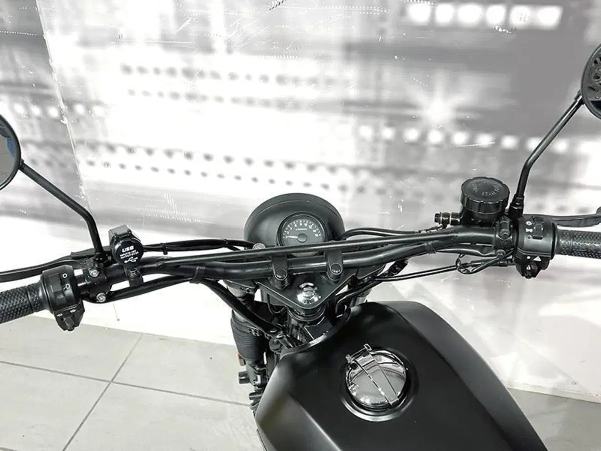 Brixton Motorcycles Felsberg 125 (2019 - 20) (6)