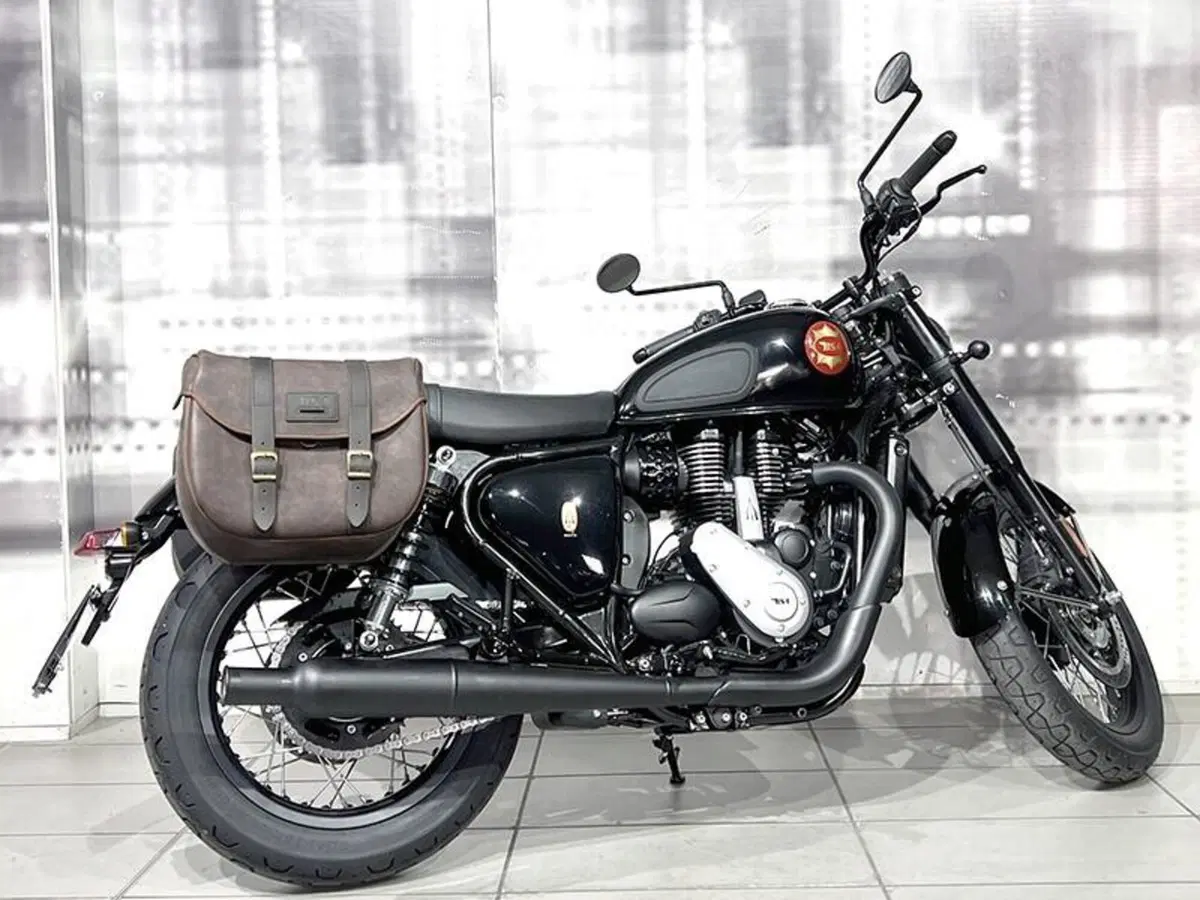 Bsa Gold Star 650 (2024 - 26) (8)