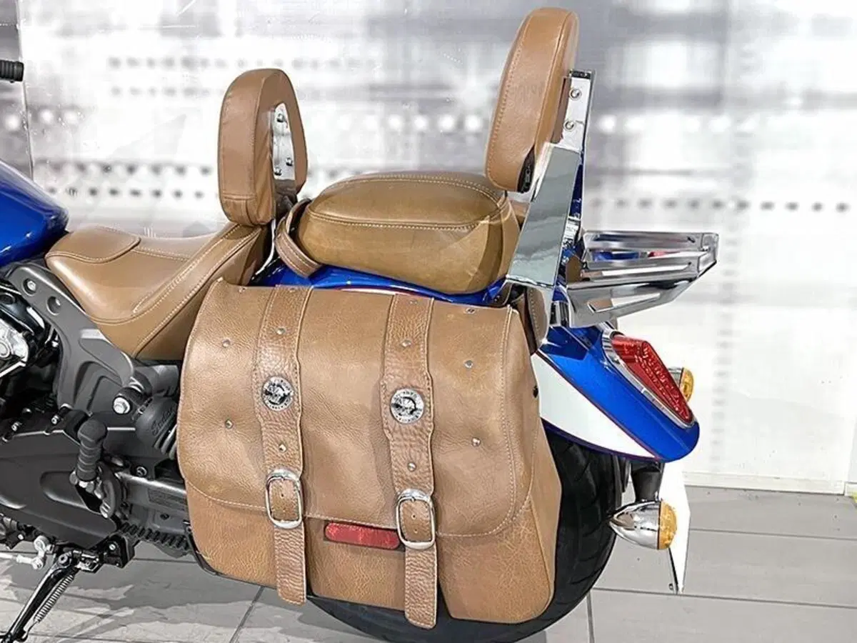 Indian Scout 1133 (2017 - 19) (8)