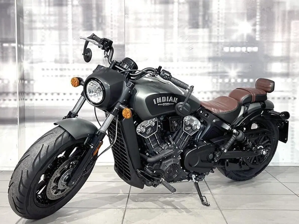 Indian Scout 1133 (2021 - 25) (7)