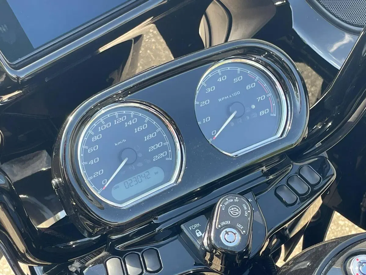 Harley-Davidson 114 Road Glide Special (2019 - 20) - FLTRXS (14)
