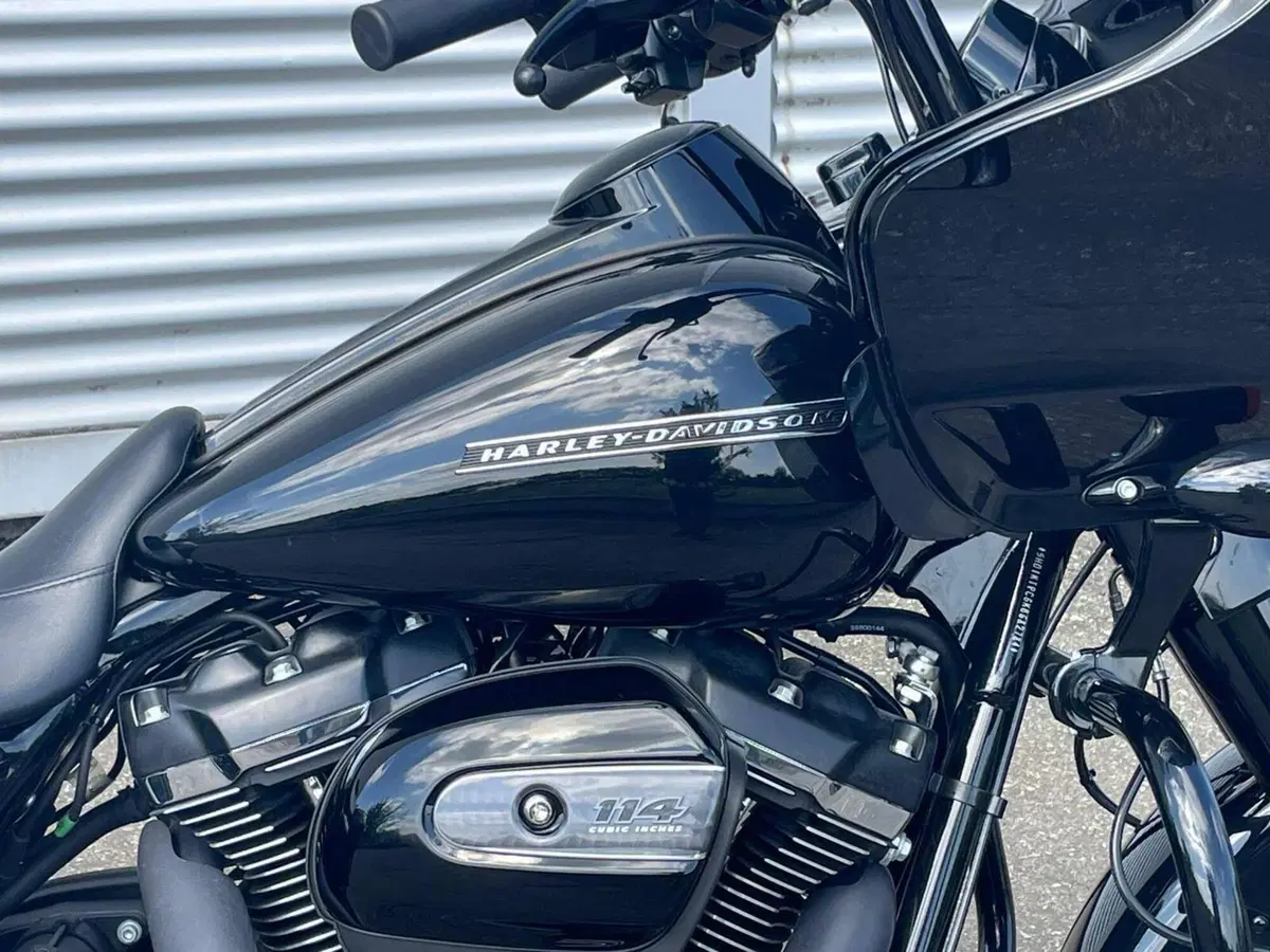 Harley-Davidson 114 Road Glide Special (2019 - 20) - FLTRXS (7)