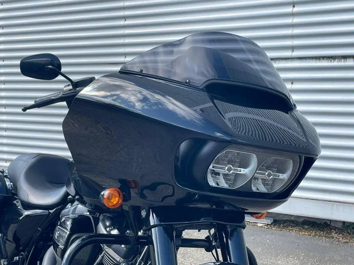 Harley-Davidson 114 Road Glide Special (2019 - 20) - FLTRXS (5)