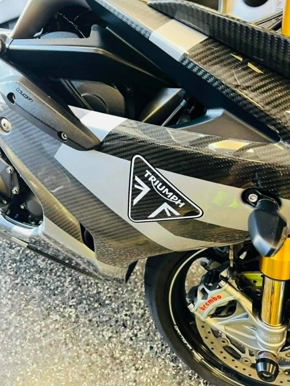 Triumph Daytona 765 Moto2 (2019 - 20) (8)