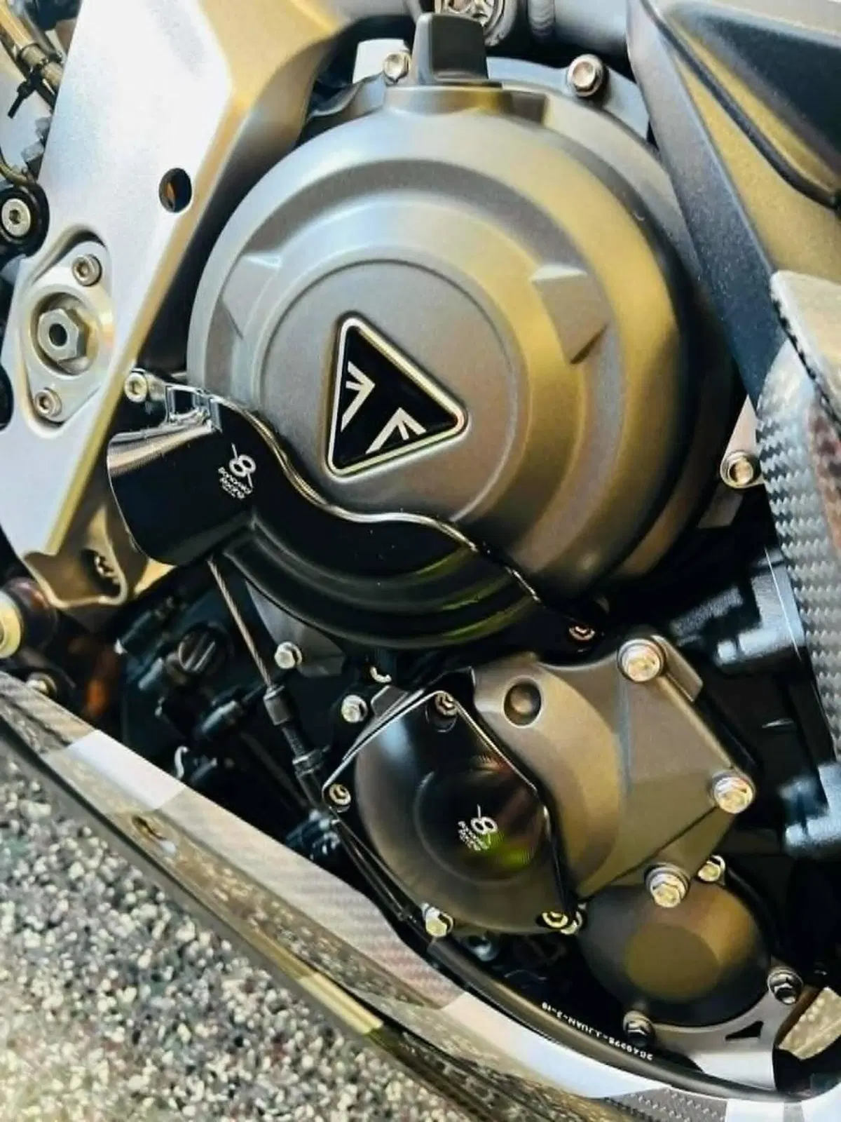 Triumph Daytona 765 Moto2 (2019 - 20) (11)