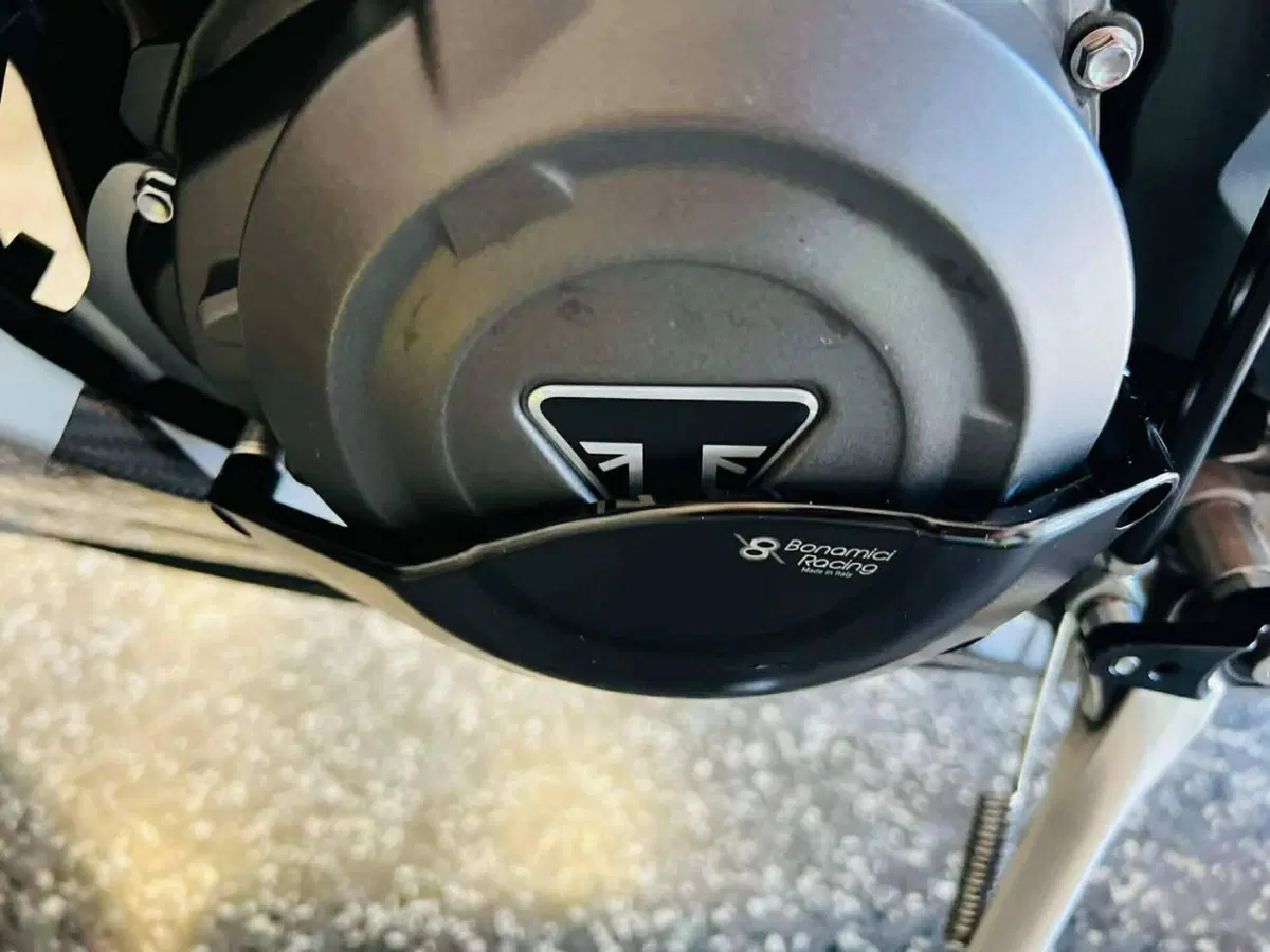 Triumph Daytona 765 Moto2 (2019 - 20) (14)