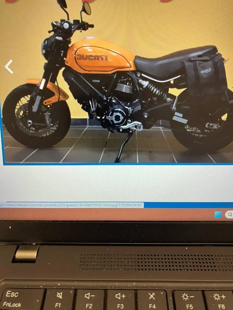 Ducati Scrambler 1100 Tribute Pro (2022 - 24) (2)