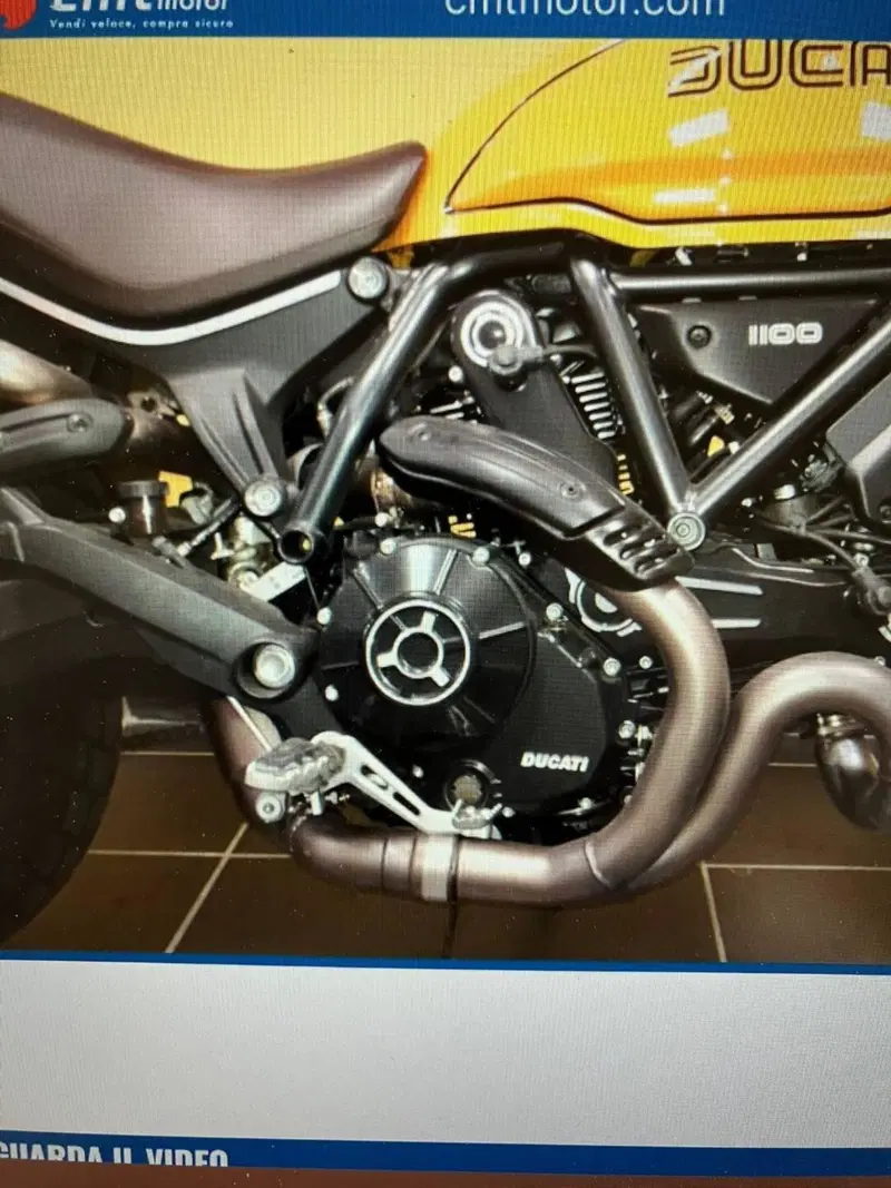 Ducati Scrambler 1100 Tribute Pro (2022 - 24) (6)